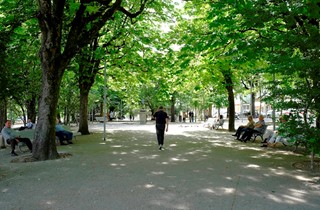 Jardim Público de Guimarães / Alameda de São Dâmaso