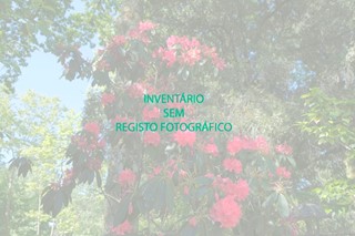 Cerca do Mosteiro de Santo André de Rendufe