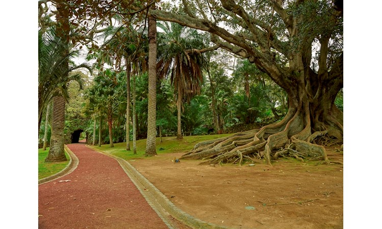 Jardin António Borges