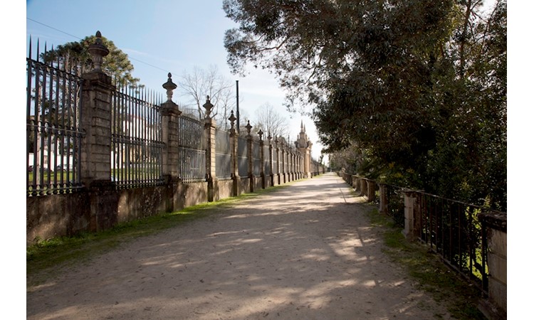Jardin botanique de l'université de Coimbra