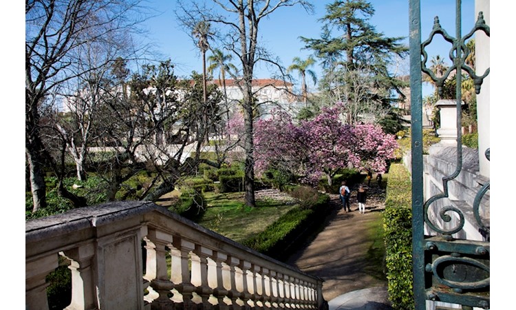 Jardin botanique de l'université de Coimbra