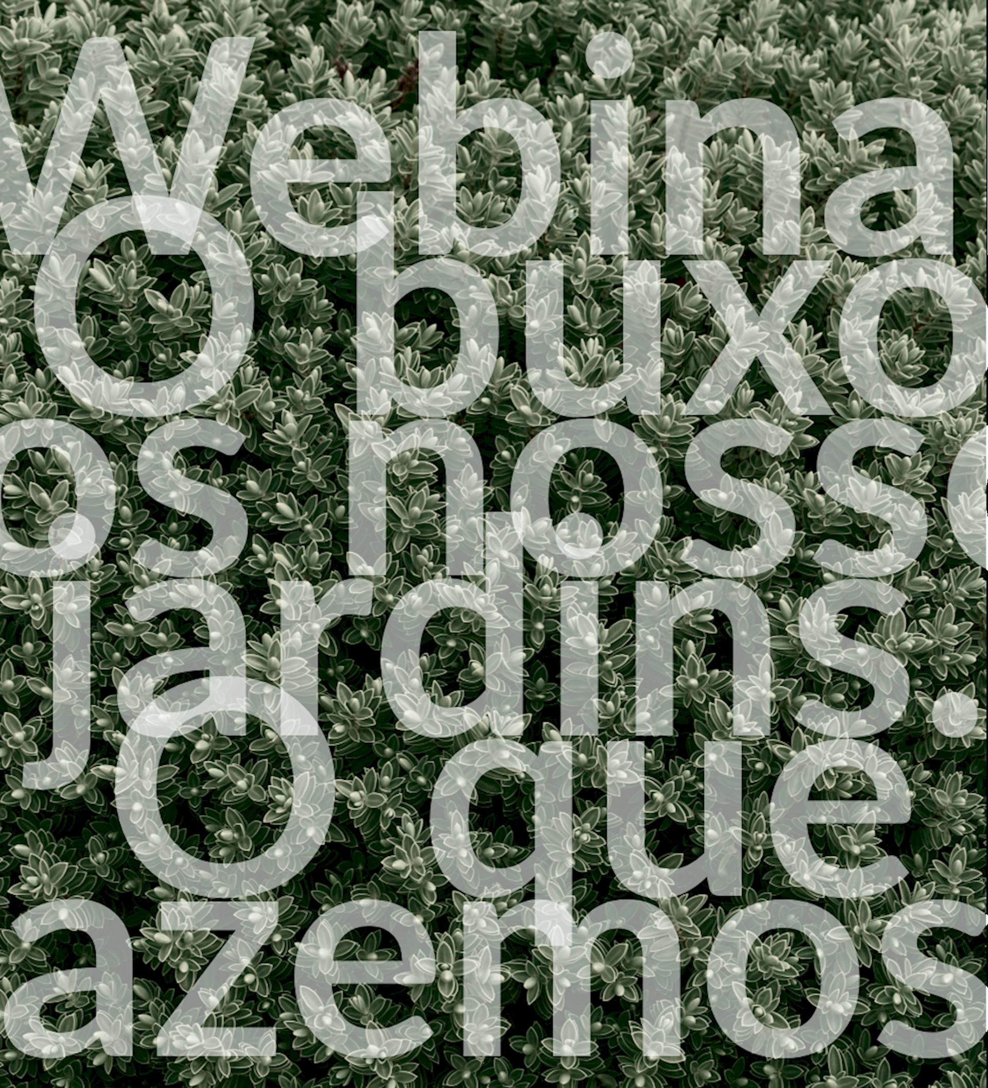 WEBINAR AJH O buxo dos nossos jardins. O que fazemos?