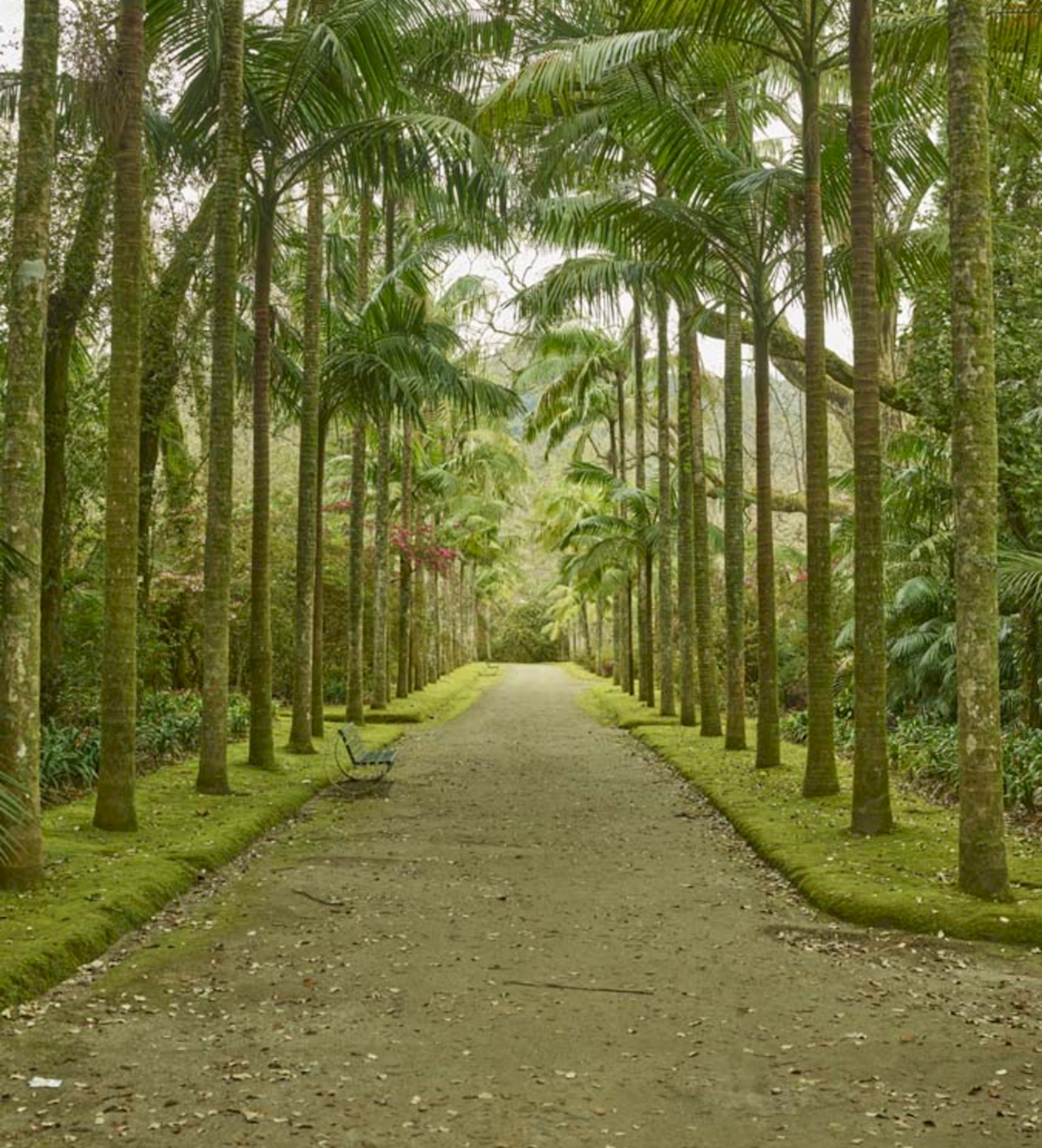 Jardins dos Açores — entre o Mar e a Terra