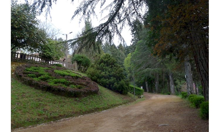 Vila Pouca de Aguiar Forest Park