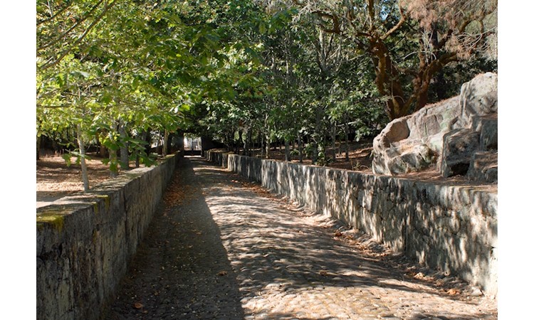 Quinta de Sá