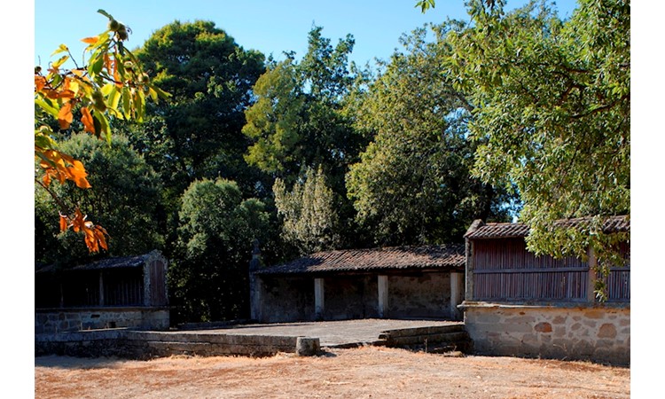 Quinta de Sá