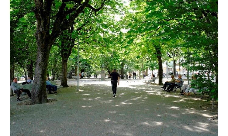 Jardim Público de Guimarães / Alameda de São Dâmaso