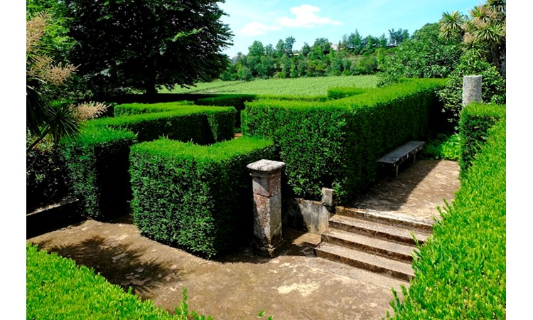 Quinta de Azevedo / Honra de Azevedo