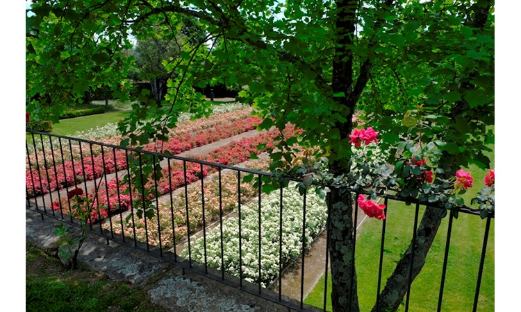 Quinta de Azevedo / Honra de Azevedo