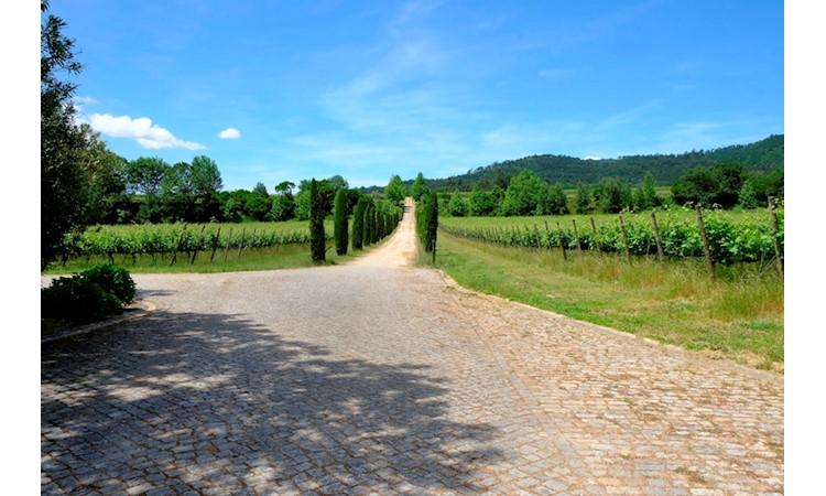 Quinta de Azevedo / Honra de Azevedo