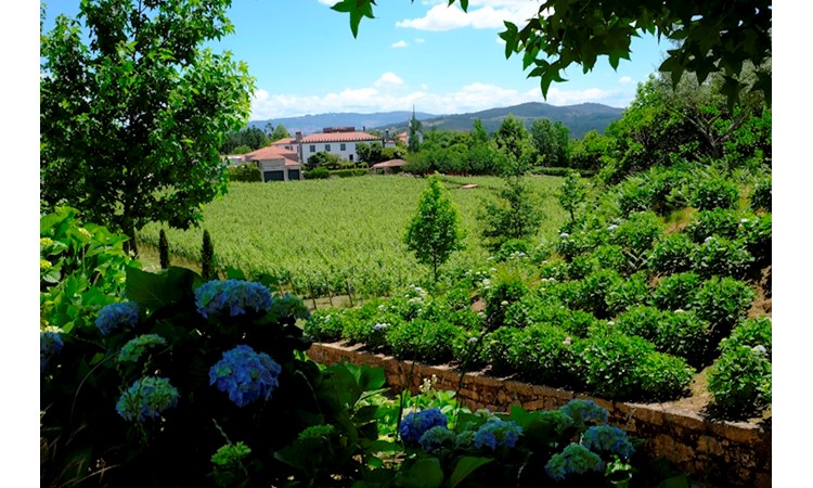 Quinta de Azevedo / Honra de Azevedo