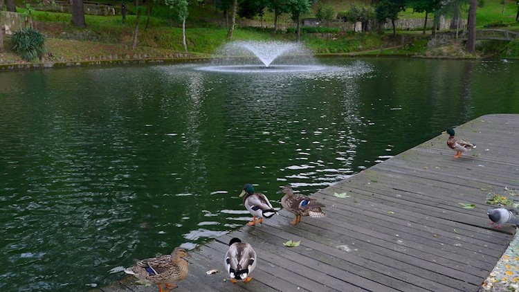 Parque de São João da Ponte