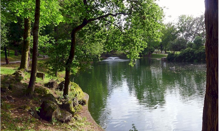 Parque de São João da Ponte