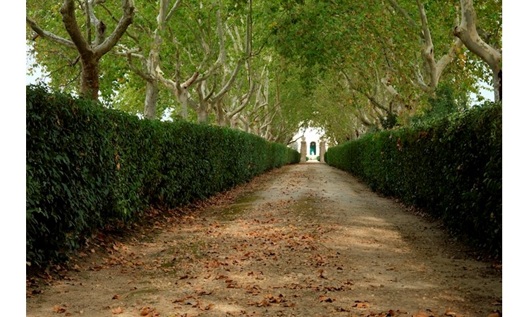 Quinta da Alorna