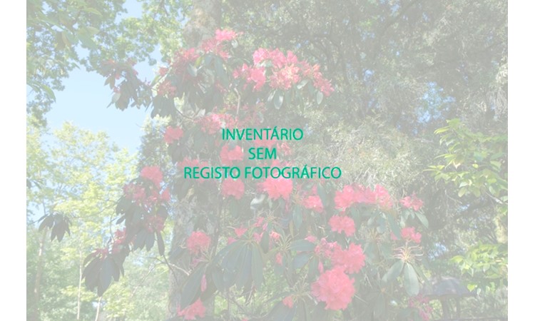 Cerca do Mosteiro de Santo António de Ferreirim