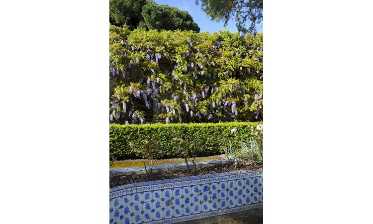 Quinta dos Azulejos