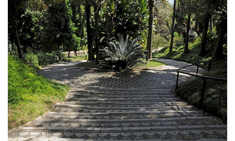 Lisboa Botanical Garden