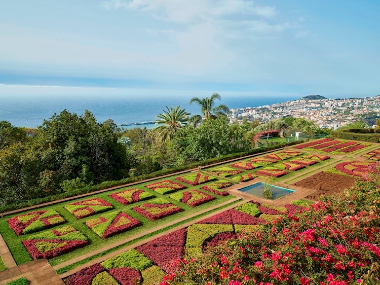 Jardim Botânico da Madeira  / Quinta do Bom Sucesso