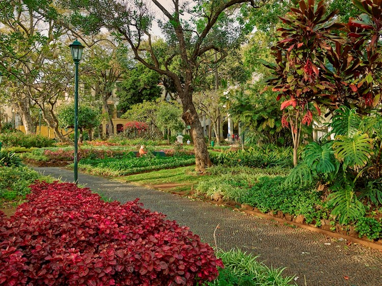 Jardin Municipal de São Francisco