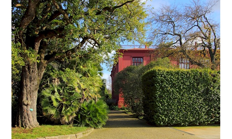 Porto Botanical Garden