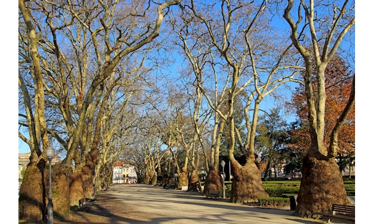 Jardim da Cordoaria / Jardim João Chagas