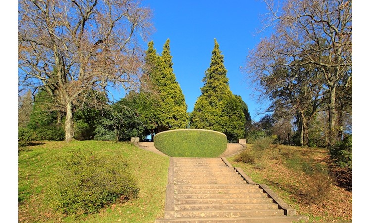 Serralves Park