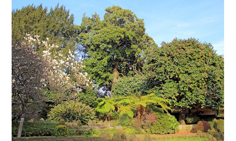 Quinta de Recarei / Quinta do Alão