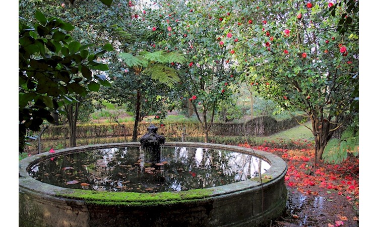 Quinta de Recarei / Quinta do Alão