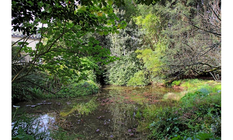 Quinta de Villar d Allen