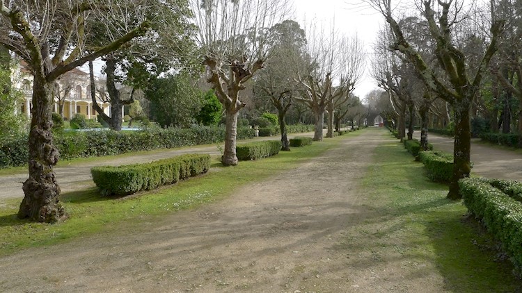 Curia Park