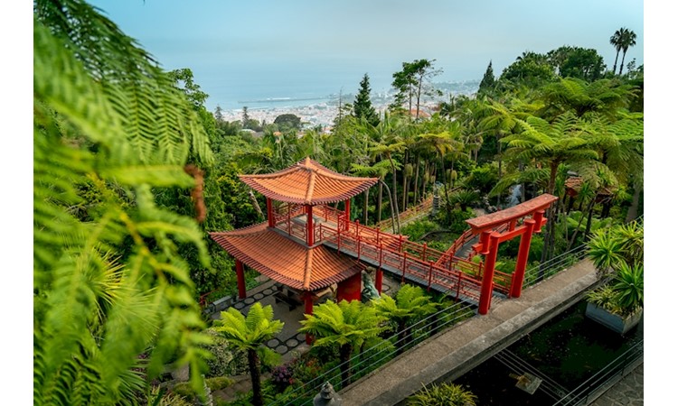 MONTE PALACE MADEIRA – TROPICAL GARDEN