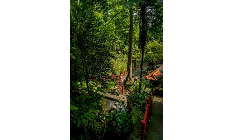 MONTE PALACE MADEIRA – TROPICAL GARDEN