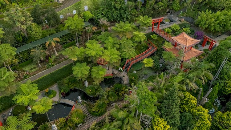 MONTE PALACE MADEIRA – TROPICAL GARDEN