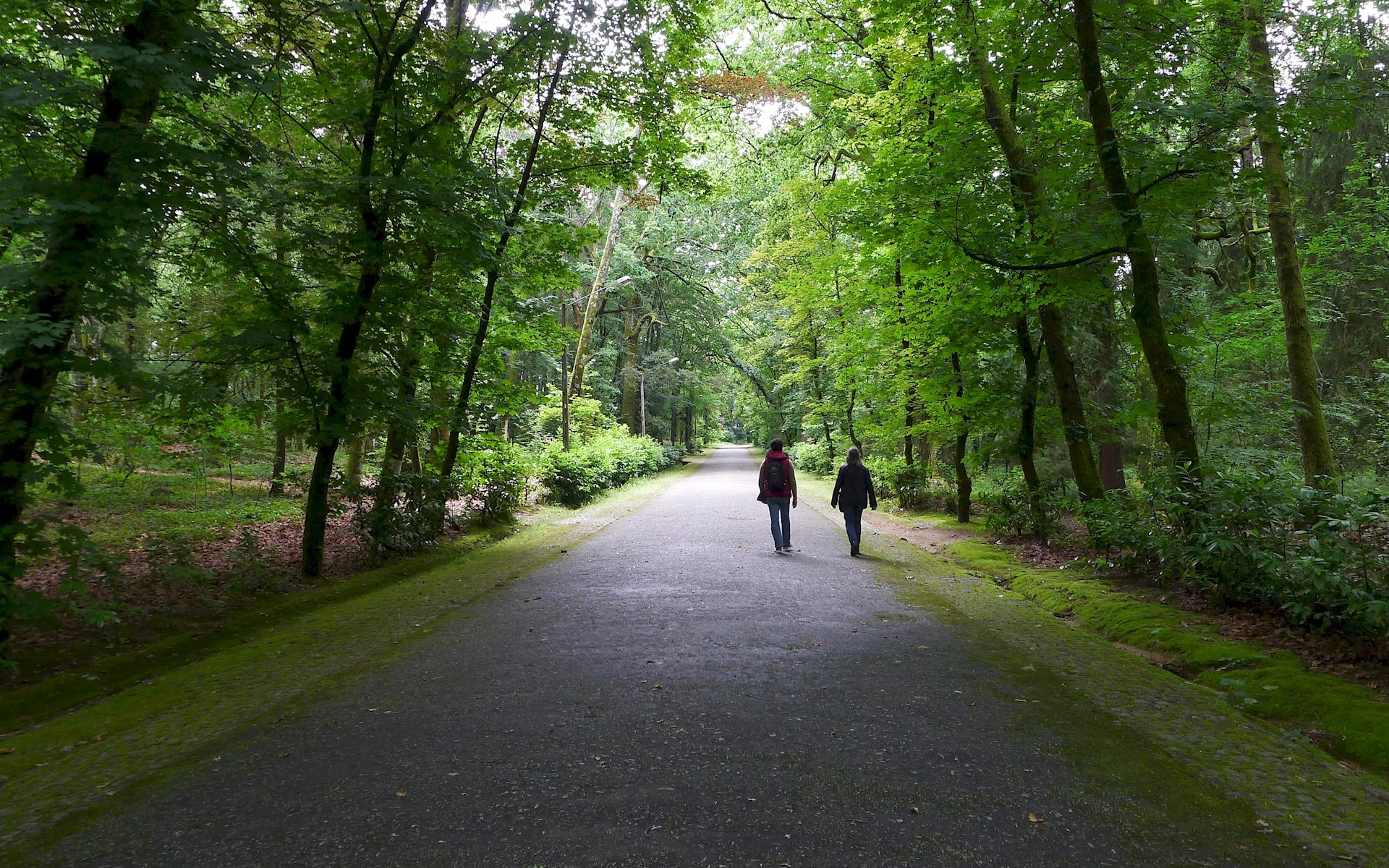 Conhecer Parque de Fontelo